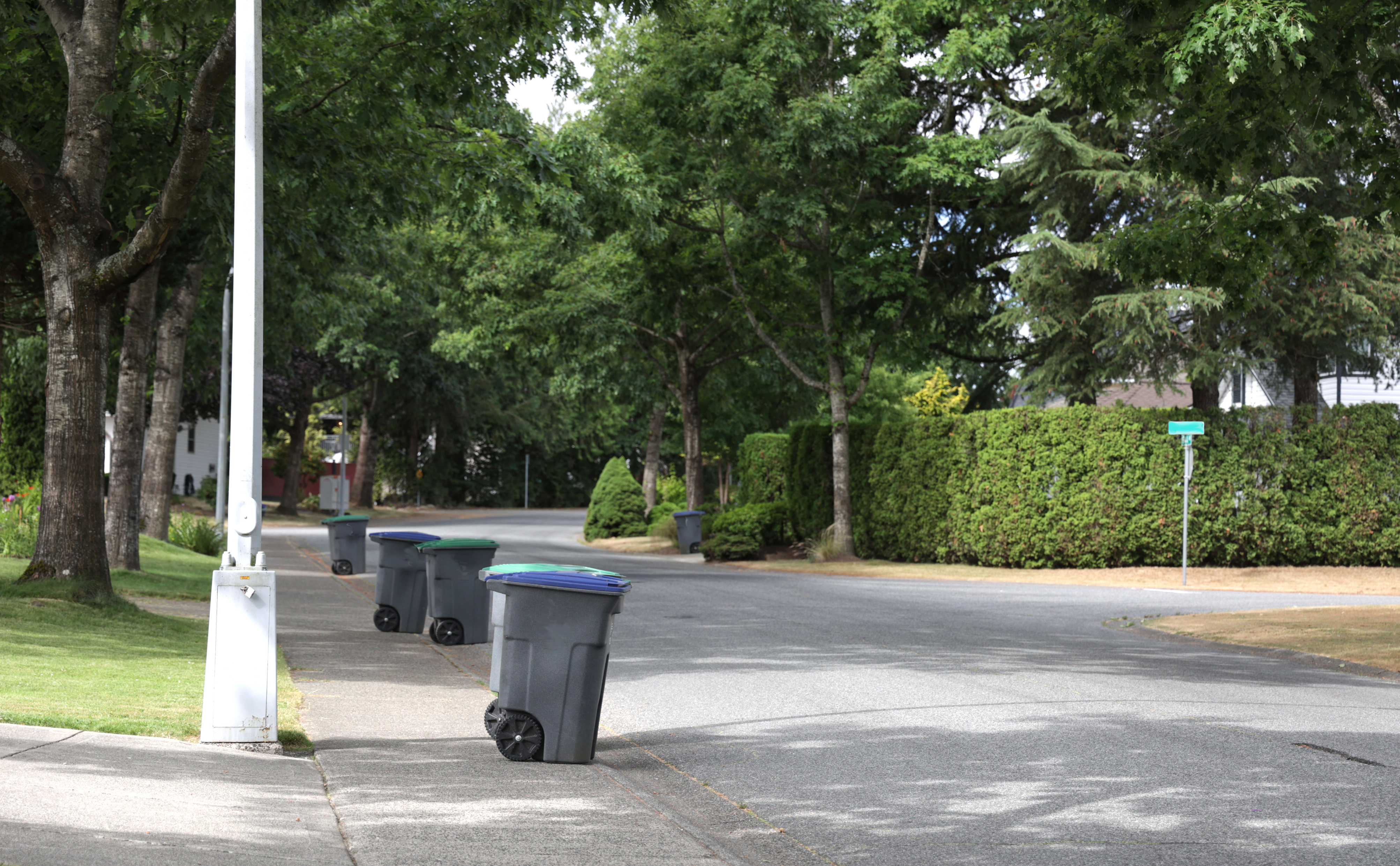 Trash Can Insurance
